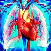 Best Cardiology Mnemonics