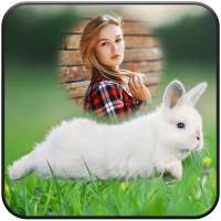 Rabbit Photo Frames on 9Apps
