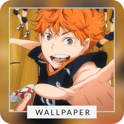 Haikyuu Volleyball Wallpaper Background