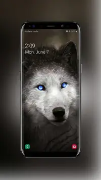 Wolf Wallpaper HD 4K APK Download 2023 - Free - 9Apps Wolf Wallpaper HD 4K APK Download 2023 - Free - 9Apps