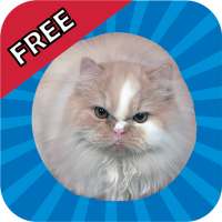 Jumping Cat FREE - touch & tap