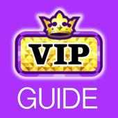 Guide for MSP VIP