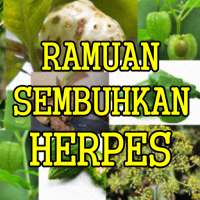 Ramuan Herbal Penyakit Herpes on 9Apps