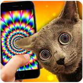 Cat hypnosis simulator