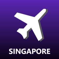 Singapore Changi Airport SIN Flight Info on 9Apps