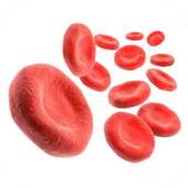 How To Treat Anemia Naturally