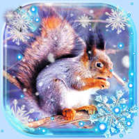 Winter Squirrel Forest on 9Apps