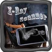 X-Ray Body Scanner Fun