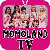Momoland Song & TV - Full Update