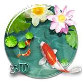 Fancy 3D koi fish theme