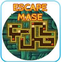 Escape The  Maze