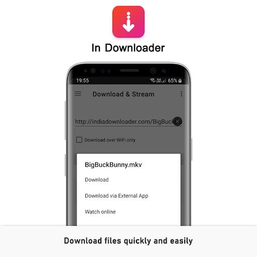 In Downloader - File download & Video streaming screenshot 2