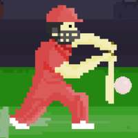 Pixel Cricket Game