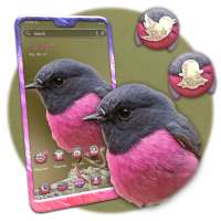 Pink Robin Launcher Theme