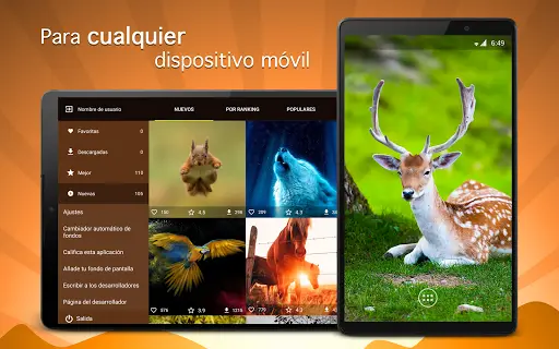 Descarga de la aplicación Fondos de pantalla animales 4K 2023 - Gratis - 9Apps Descarga de la aplicación Fondos de pantalla animales 4K 2023 - Gratis - 9Apps