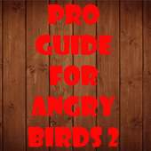 Pro Guide for Angry Birds 2