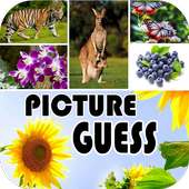 A Picture Guess & Image Quiz