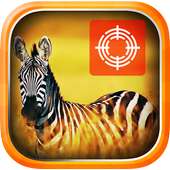 Zebra Hunter - Safari Hunting