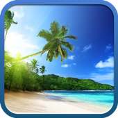 Tropical Beach Live Wallpapers