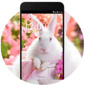 Cute Rabbit Wallpaper HD on 9Apps