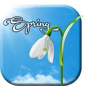 Sunny Spring Live Wallpaper