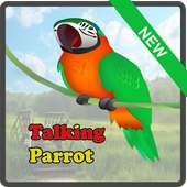 Talking and Dancing Parrot
