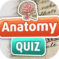 Anatomy Fun Free Trivia Quiz