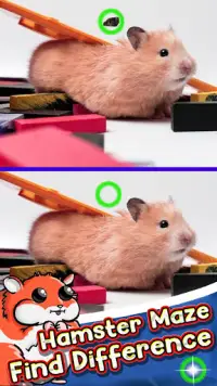 Hamster Maze APK for Android Download