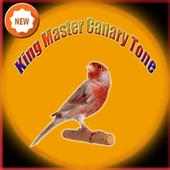 King Master Canary Tone