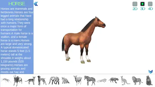 kidAR Animals APK Download 2023 - Free - 9Apps