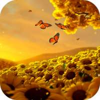 Video Wallpapers: Sunflowers HD