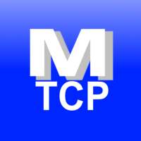 Modbus TCP Client