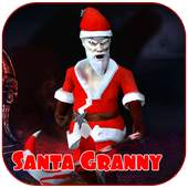 Santa Granny