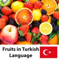 Learn Fruits Vegetables in Turkish on 9Apps