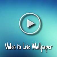 Live Video Wallpaper - Create your own Wallpaper