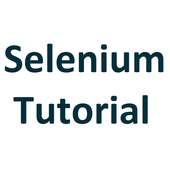 Selenium Tutorial on 9Apps