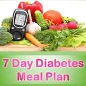 7 Day Diabetes Meal Plan on 9Apps