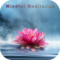 meditation and mindfulness Mastery on 9Apps