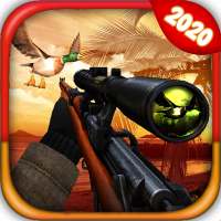 Wild Duck Hunting - Duck Shooting 3D Game