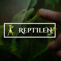 Reptilen.no on 9Apps
