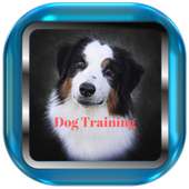 Dog Training Apps for real Dogs offline on 9Apps