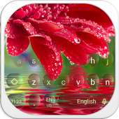 Flower Waterdrop Keybaord Theme