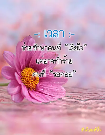 คำคมสอนใจ พร้อมรูปภาพ App لـ Android Download - 9Apps