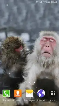 Funny Monkey Live Wallpaper APK Download 2023 - Free - 9Apps Funny Monkey Live Wallpaper APK Download 2023 - Free - 9Apps