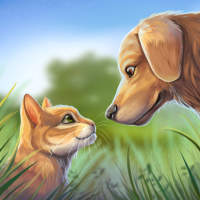 Pet World - My animal shelter on 9Apps