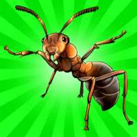 Ant Queen: Board game Online