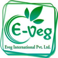 EVEG INTERNATIONAL PVT LTD