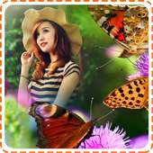 Butterfly Photo Editor