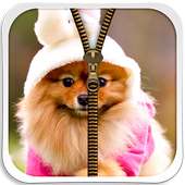 Cute Puppy Zipper Lock Screen on 9Apps