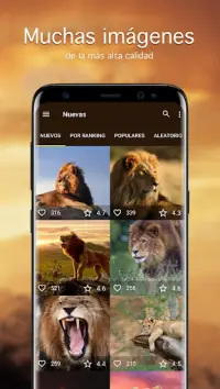 león 3d fondos de pantalla descarga gratuita